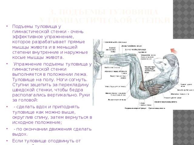 Скручивания на наклонной скамье: техника выполнения, ошибки