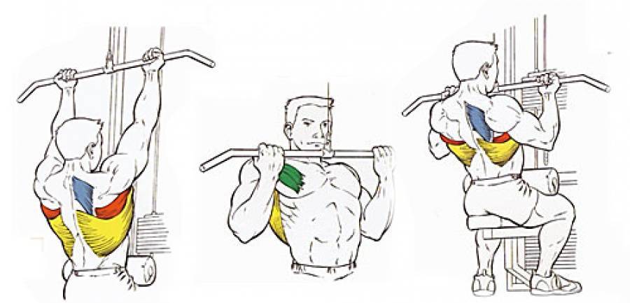 Подтягивания узким хватом: какие мышцы работают, техника выполнения