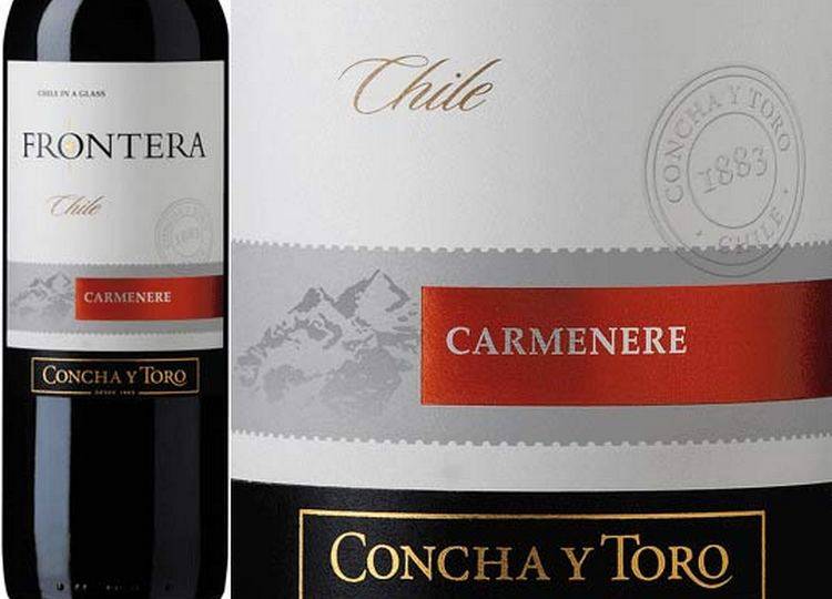 Вино пино гриджио белое: история и обзор вкуса