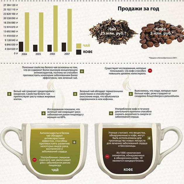 Цикорий растворимый: полезные свойства и противопоказания