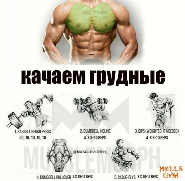 Тренировка плеч на массу