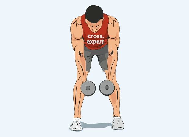 Шраги: техника выполнения упражнения со штангой, гантелями и на брусьях