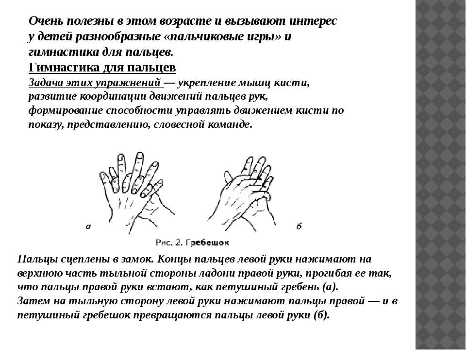 Память пальцев рук. Упражнения для развития мышц кистей рук и пальцев. Упражнения для пальцев рук. Упражнения для запястий и пальцев. Упражнения для развития пальцев рук.