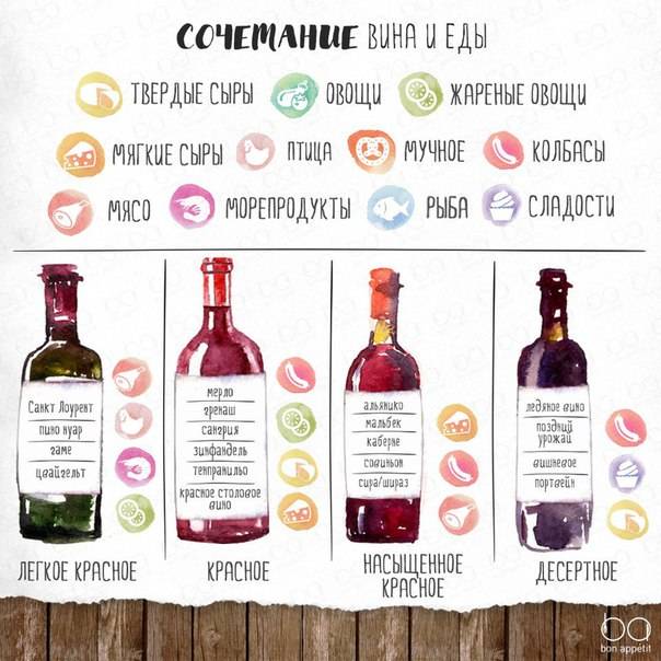 Розовое вино: что это и как выбрать в магазине + описание вкусов по оттенку