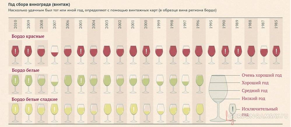 Срок годности вина в закрытой бутылке и сколько хранится домашнее вино