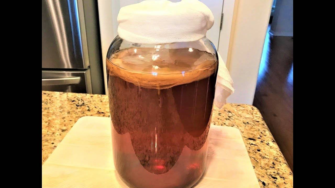 Чайный гриб в холодильнике. Чайный гриб Комбуча 1,5 литра. Чайный гриб приготовление. Чайный гриб в литровой банке. Заварка для чайного гриба.