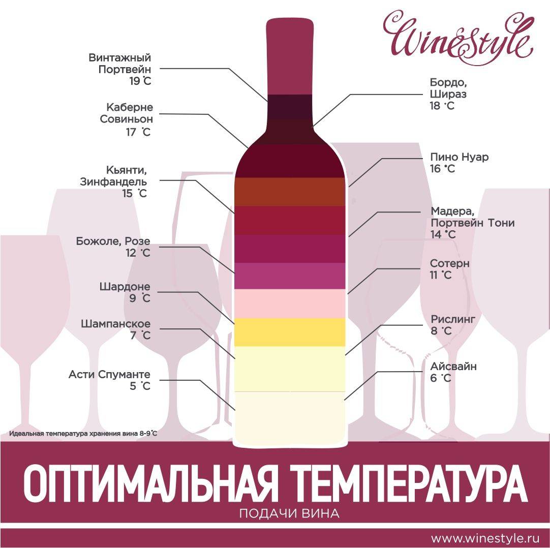 Разбор: как хранить вино в домашних условиях