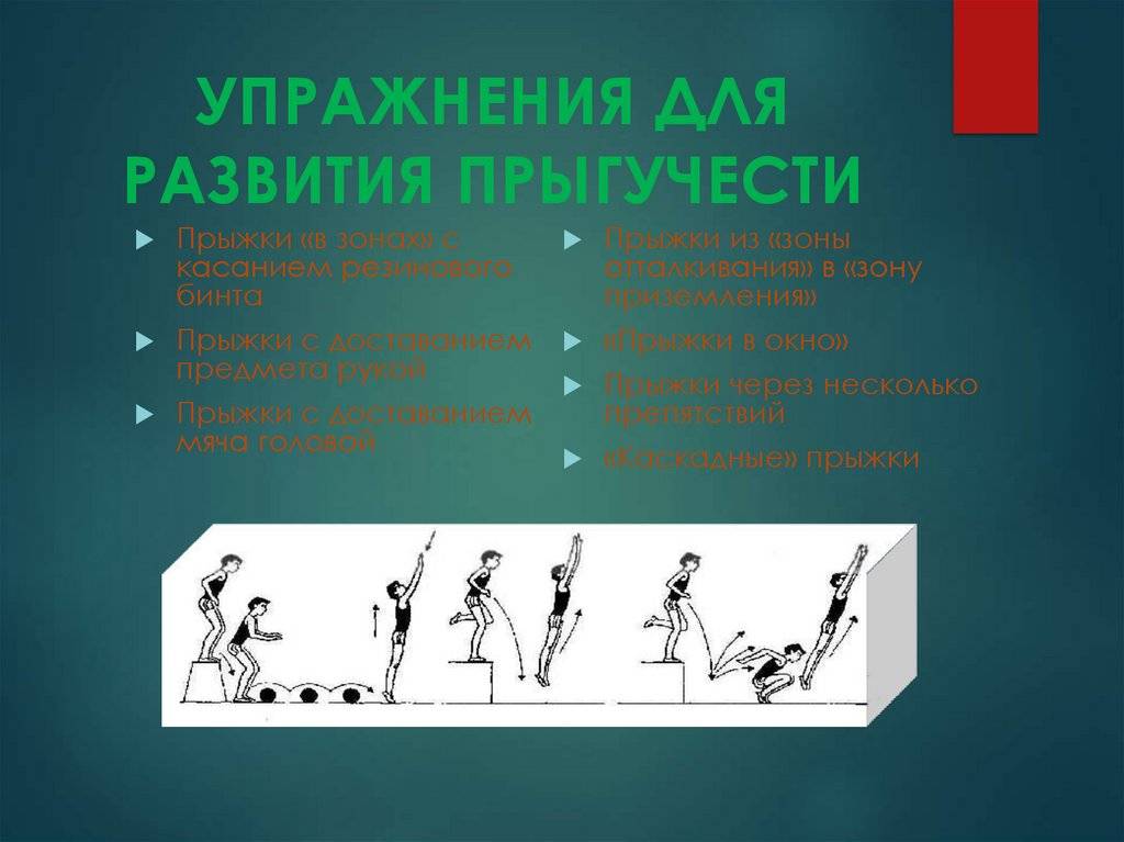 Как научиться высоко прыгать? упражнения и уроки прыжков в высоту и на скакалке, как боксеры.
