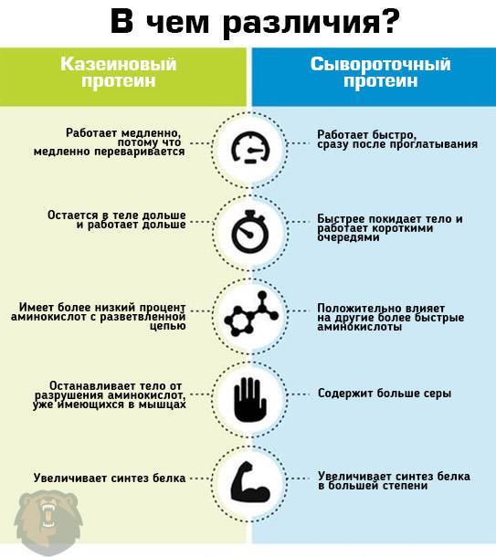 Казеин для похудения: как принимать и отзывы