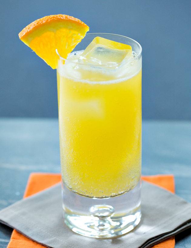 Рецепты приготовления коктейлей с джином в домашних условиях