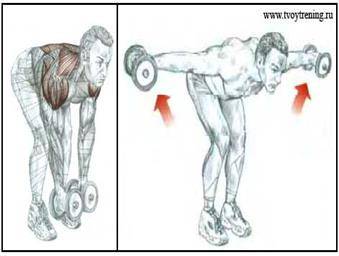 5 махов. Подъем гантелей через стороны в наклоне. Подъем гантелей в стороны в наклоне. Подъем гантелей через стороны вверх в наклоне. Отведение плеча стоя в наклоне.