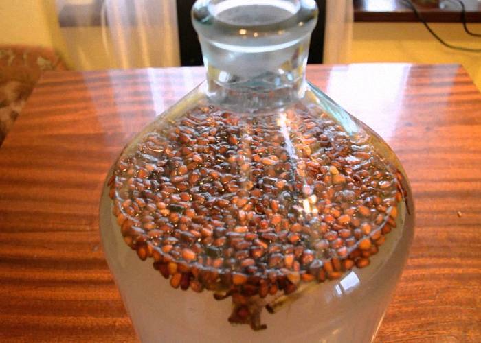 Кедровка на самогоне — рецепты приготовления напитка