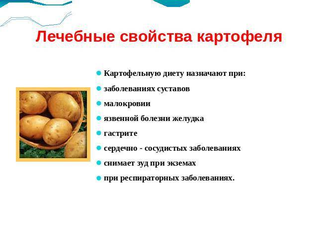 8 фактов о пользе кисломолочных продуктов для организма человека + возможный вред