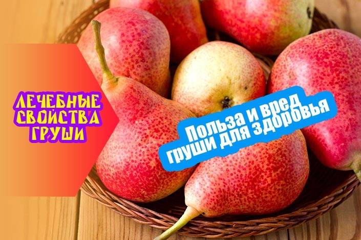 Груша польза вред для организма человека, калорийность, витомины