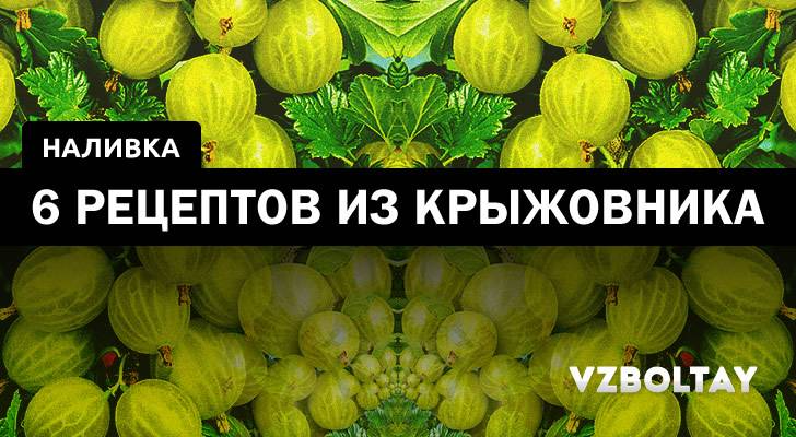 Настойка из черемухи: 6 рецептов в домашних условиях