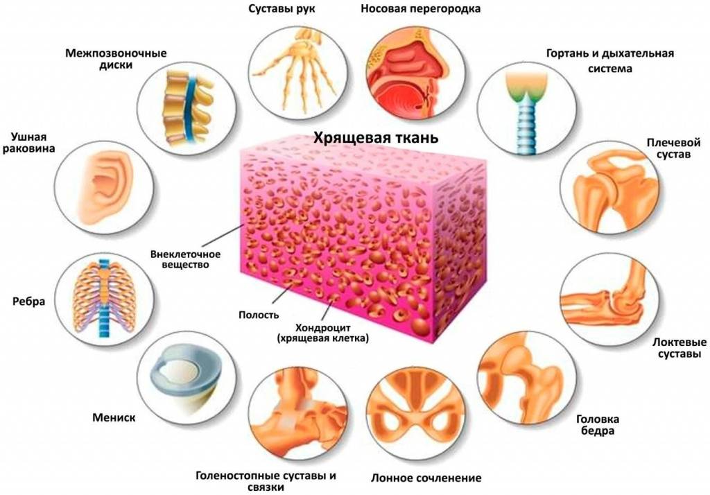 Коллаген для суставов, связок и сухожилий: отзывы, как принимать, как выбрать