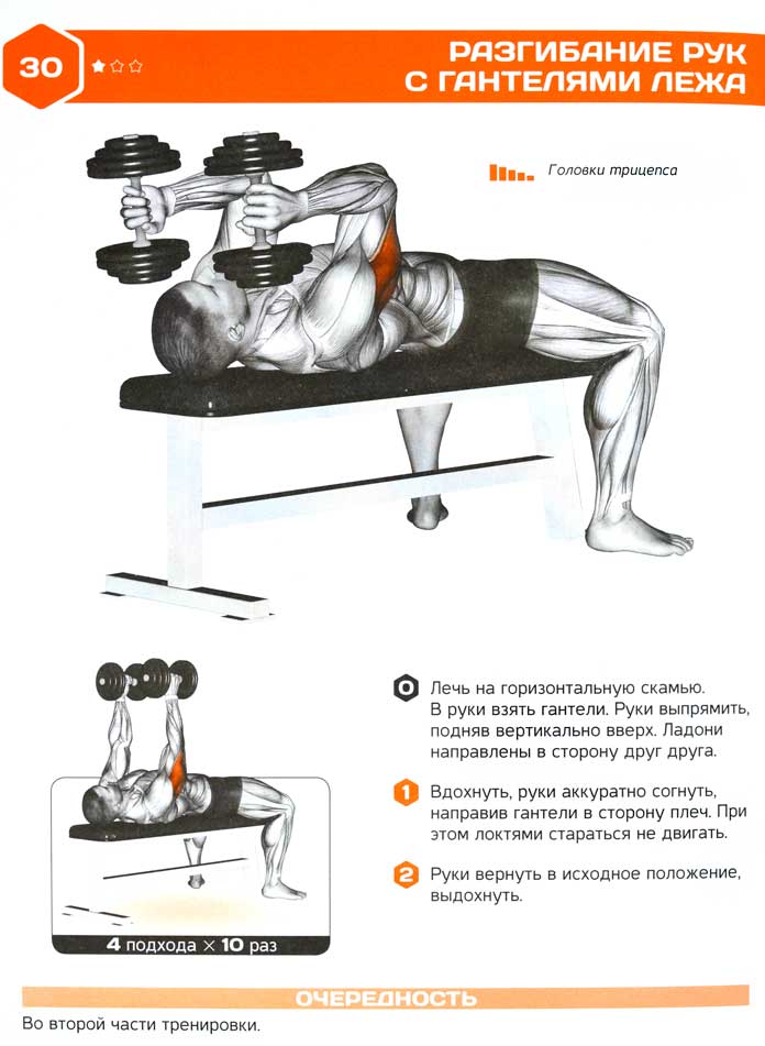 Французский жим штанги лежа: техника, какие мышцы работают и чем заменить