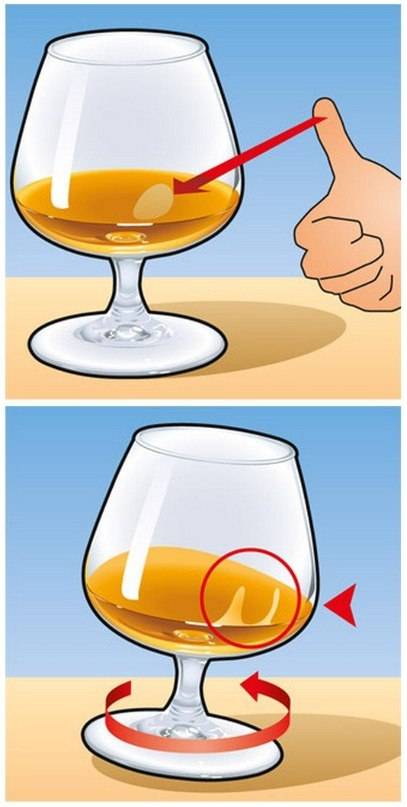 Правильное употребление коньяка - c чем пить и чем закусывать