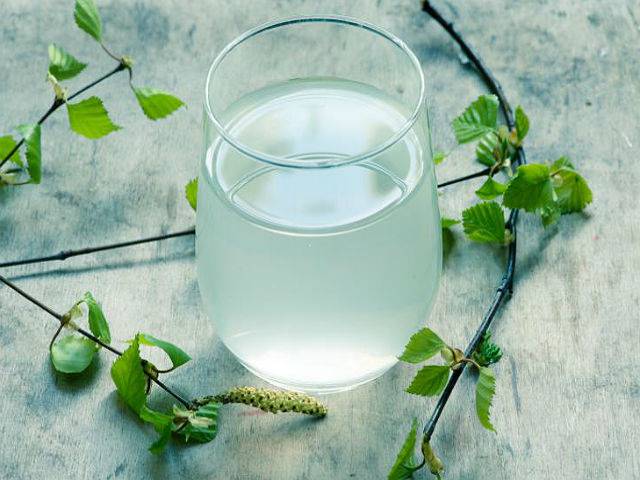 Березовое вино – удивительный напиток с давней историей!