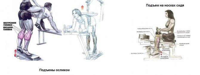 Подъёмы на носки сидя со штангой на коленях качаем камбаловидную мышцу
