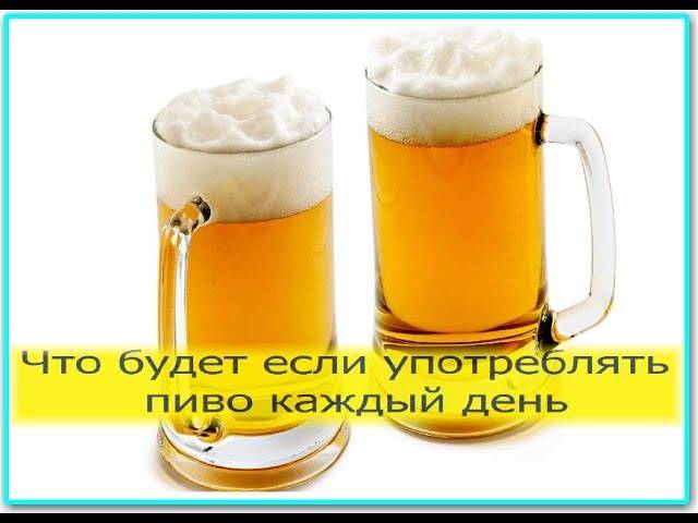 Пью пиво каждый вечер. Пить пиво каждый день. Что будет если пить пиво каждый. Если пить каждый день. Пить пиво разрешено.
