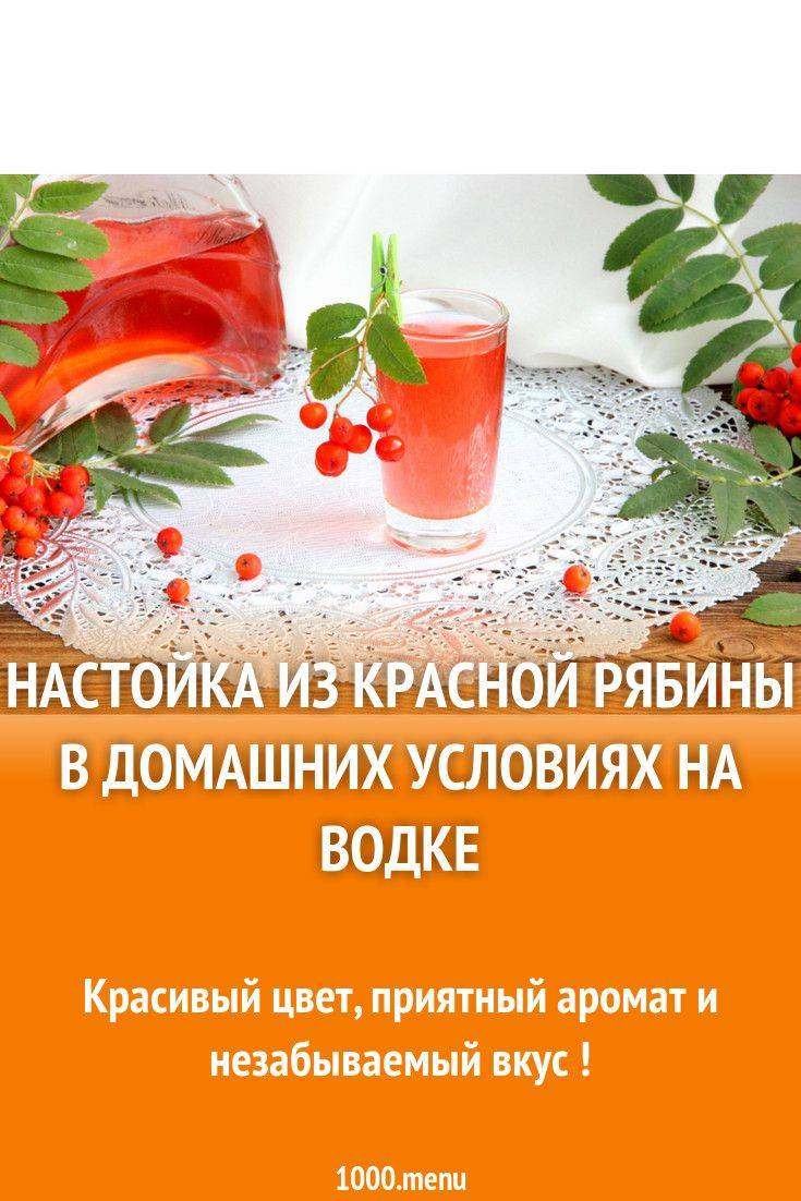 Рябиновая настойка 6 рецептов в домашних условиях