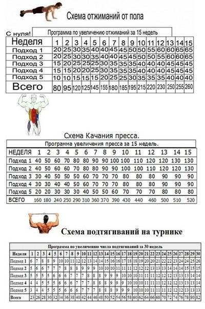 Отжимания на трицепс от пола. виды отжиманий+техника выполнения с видео
