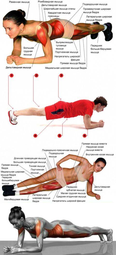 Упражнение боковая планка. как правильно делать боковую планку на левой и правой руке?