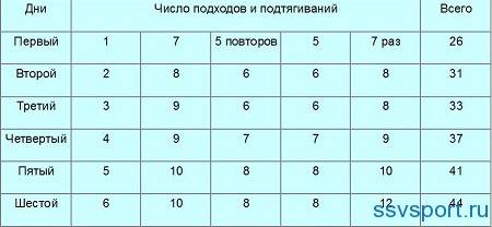 Полное руководство по подтягиваниям с нуля до 20 раз для начинающих