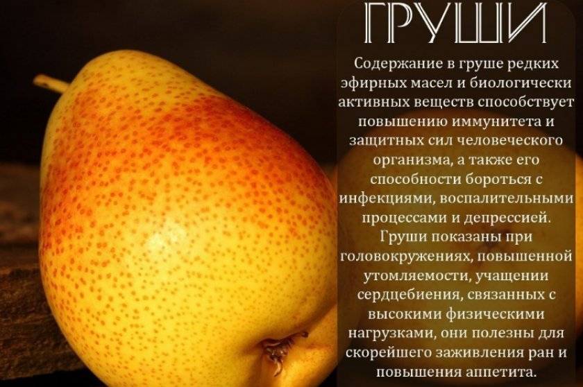 Чем полезен манго