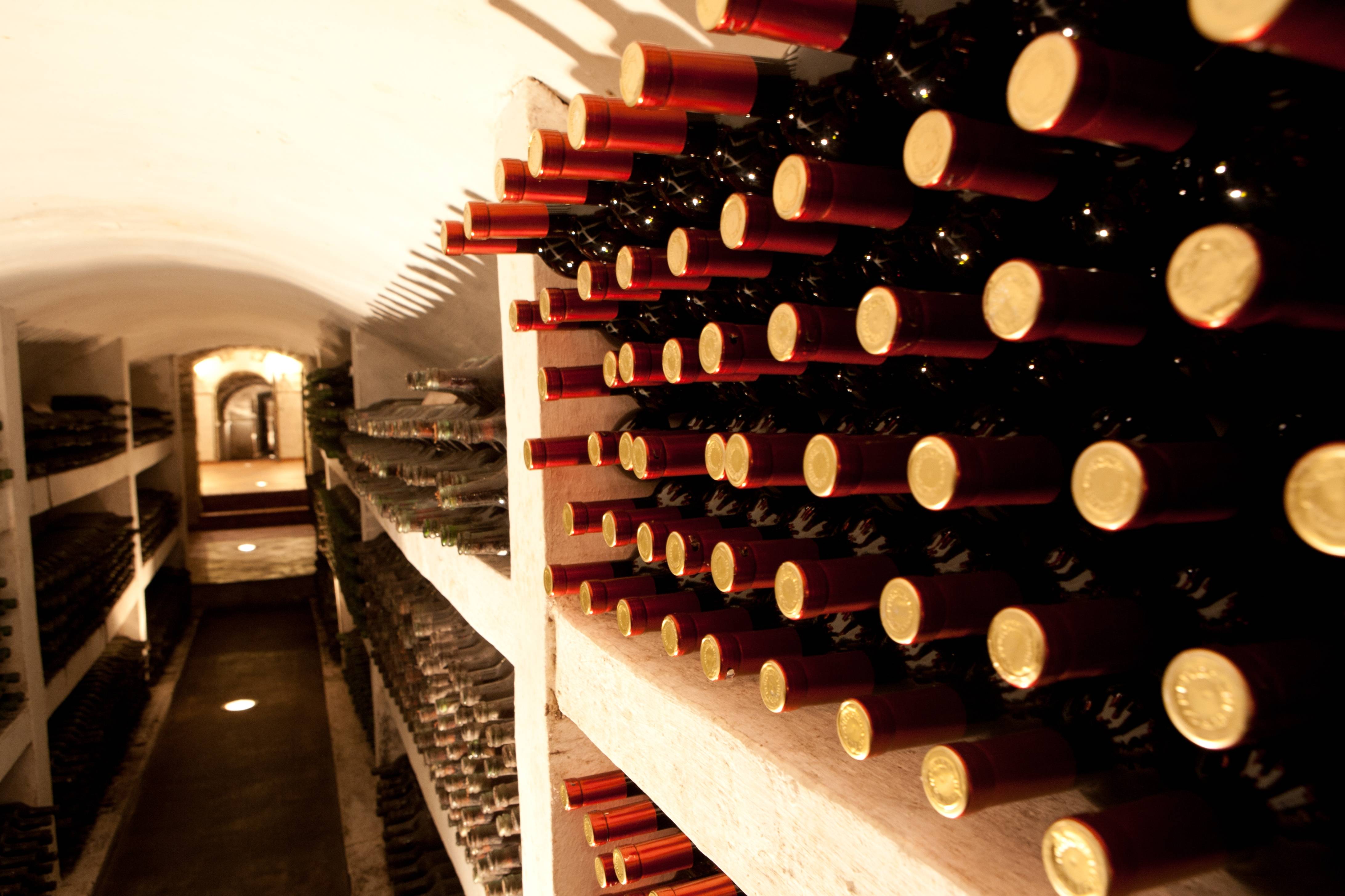 История вина: от древности до наших дней