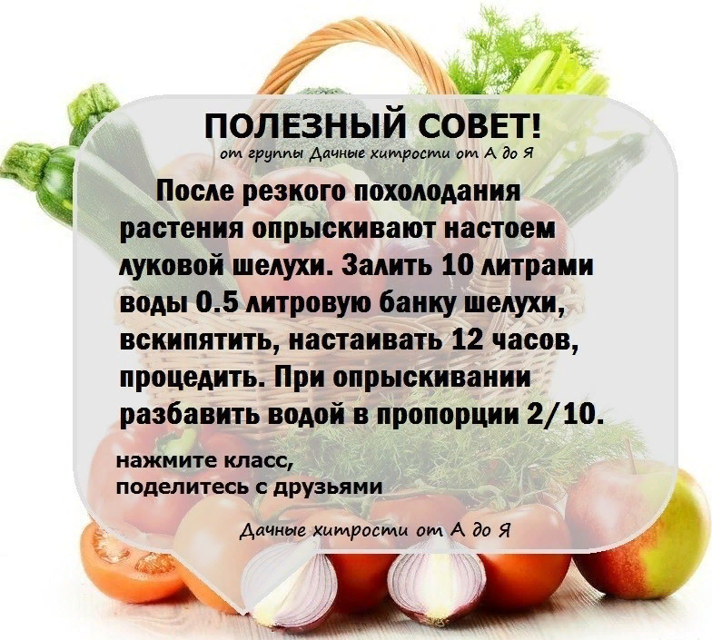 Советы для презентаций