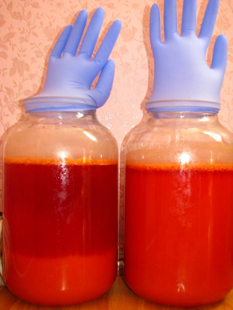 Вино из красной рябины в домашних условиях -5 простых рецептов с фото пошагово