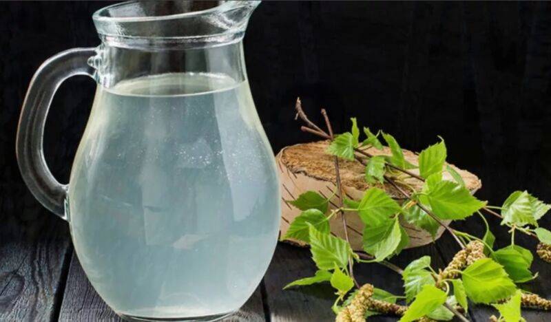 Как сделать вино из березового сока. рецепты: домашнее вино березовик. » сусеки