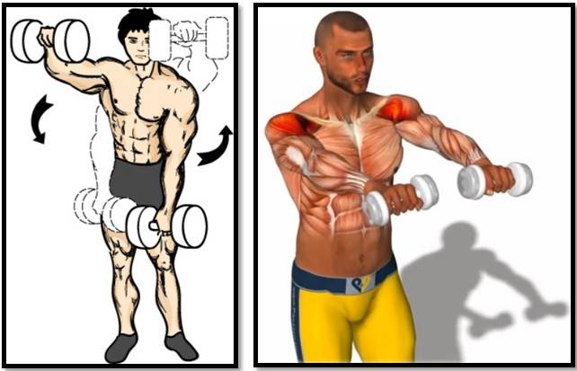 Фронтальный подъем гантелей сидя
