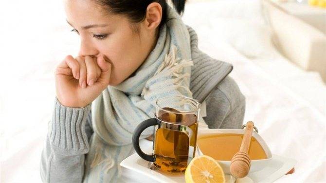 Горячее пиво с мёдом – проверенное домашнее средство от простуды - республиканский медицинский центр