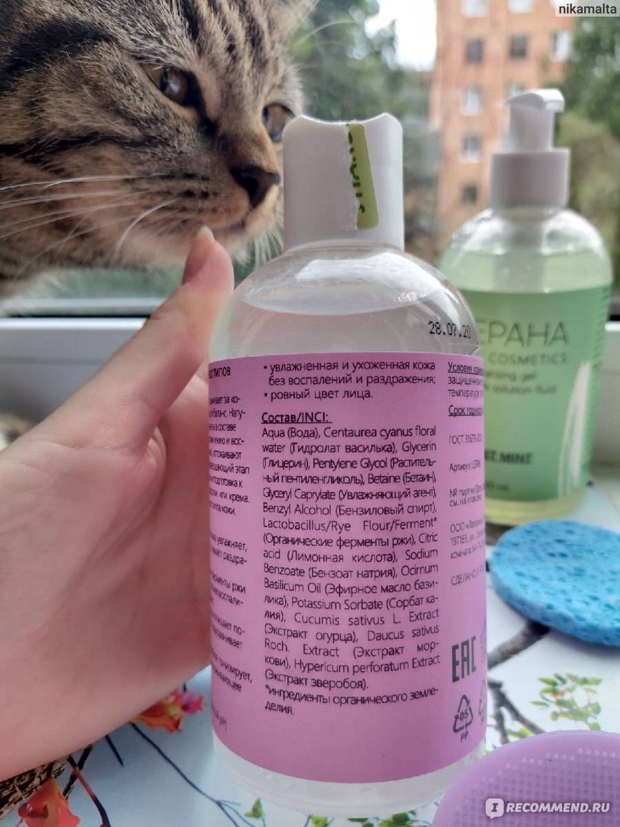 Что такое тоник? шесть рецептов тоника собственного приготовления. — novik's boozy blog