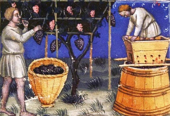 Киндзмараули – история и виды грузинского вина + как отличить подделку