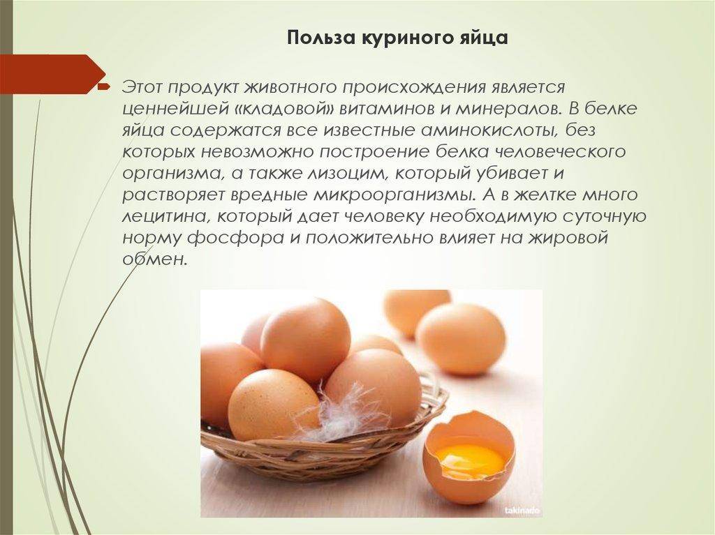 Яйцо куриное польза и вред для здоровья организма женщин, мужчин