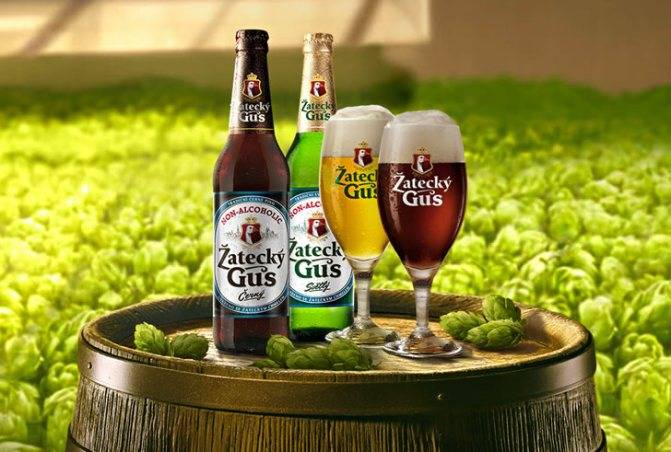 Ликер пассоа: описание, история + 8 рецептов коктейлей