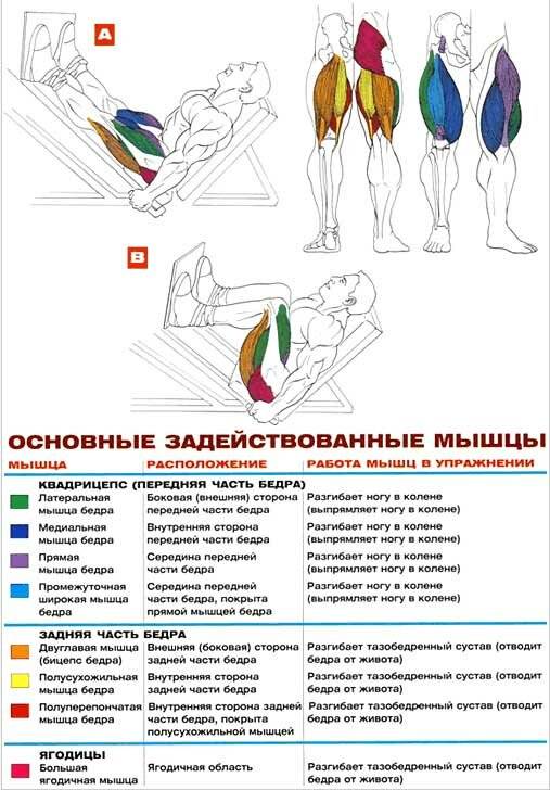 Внешняя сторона бедра. Жим ногами в тренажере на квадрицепс. Постановка ног на жиме ногами для квадрицепсов. Схема постановке ног в жиме ногами в тренажере. Положение ног в тренажере жим ногами.