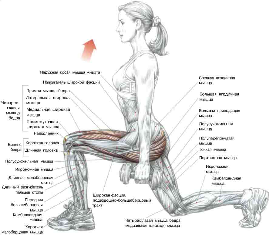 Как накачать икры ног девушке быстро: лучшие упражнения дома