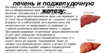 Польза и вред кофе для организма человека - самый полный обзор свойств напитка
