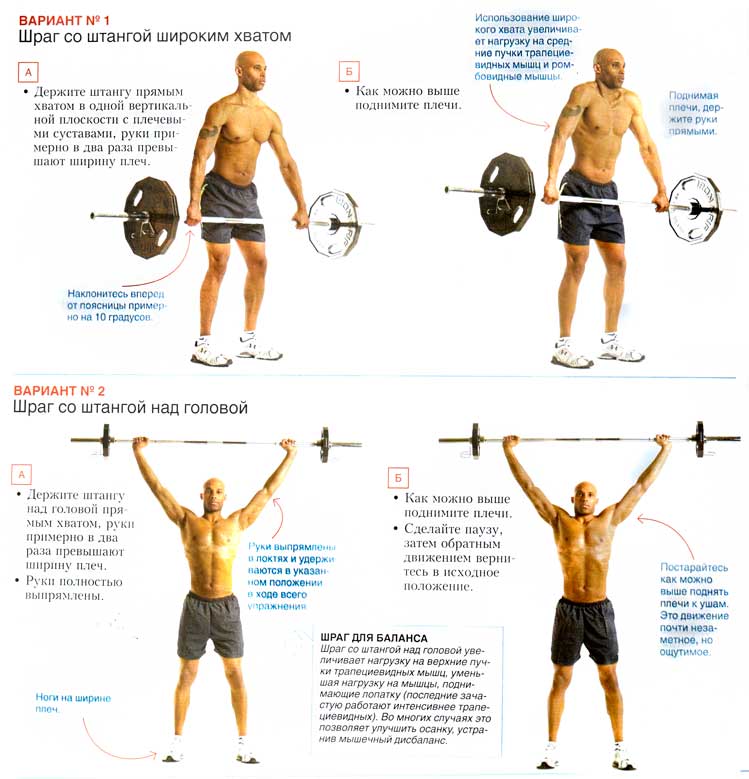 Становая тяга с гантелями