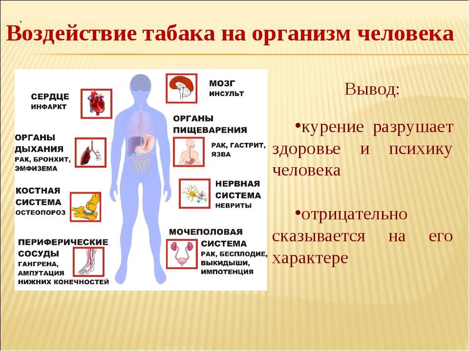 Вред никотина презентация