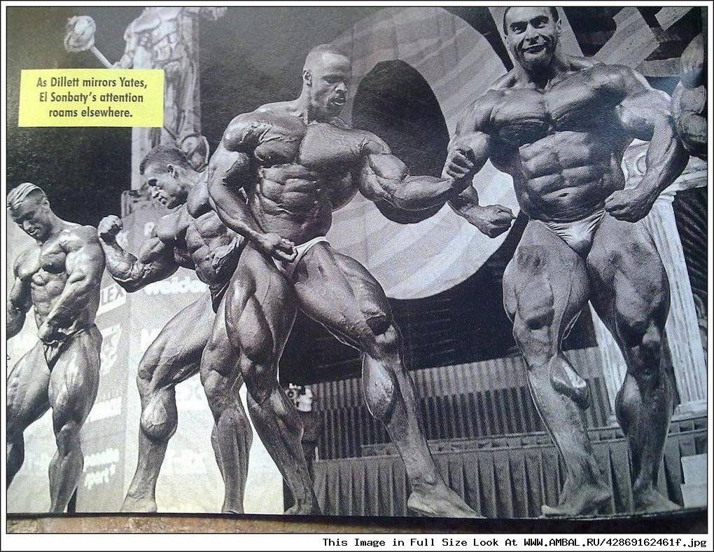 Победители турнира “мистер олимпия” тогда и сейчас (часть 1) | livasteel