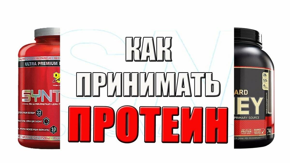 Протеин: что это такое, как правильно принимать, виды протеина, польза и вред для организма
