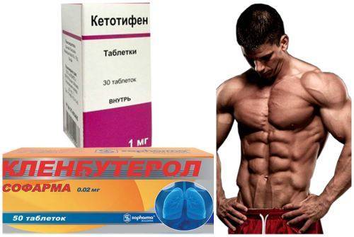 Статьи о кленбутероле. как правильно применять кленбутерол в бодибилдинге, фитнесе, для сушки и похудения