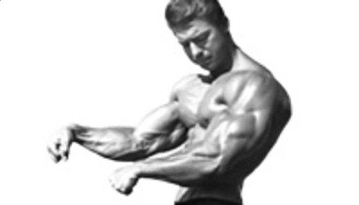 Брэнч уоррен биография | фактор силы - качайся с умом!