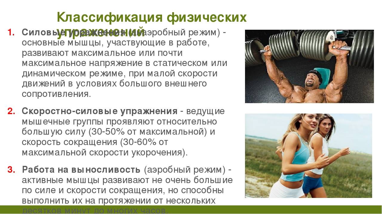 Аэробные мышцы. Упражнения физ нагрузки. Аэробная нагрузка упражнения. Классификация физических упражнений. Классификация нагрузок и физических упражнений.